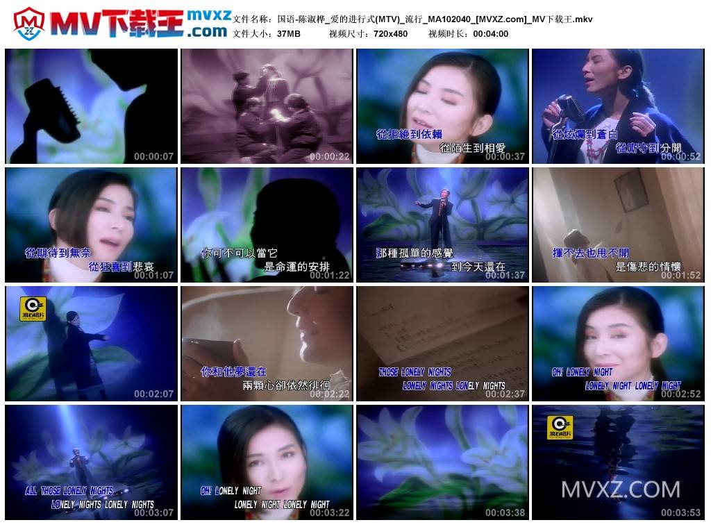 国语-陈淑桦_爱的进行式(MTV)_流行_MA102040